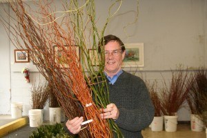 img 5640 300x200 Winter Florals: Try Dogwood Stems