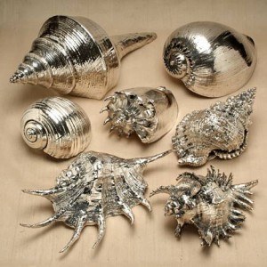 seashellcollection 300x300 A gift to add to your arsenal: Silver Coated Seashells