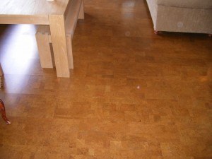 corkflooring 300x225 The Coolest Home Addition I’ve Seen Belongs to Clint & Holly Smith