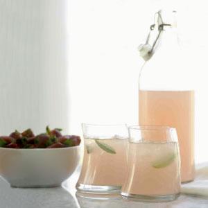 Plan a Late Summer Soiree with Ideas from Event Planner Elizabeth James lemon verbena vodka cooler Plan a Late Summer Soiree with Ideas from Event Planner Elizabeth James