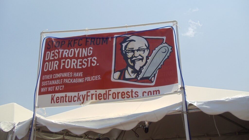 ketucky fried forrests 1024x576 Bonnaroo. I do. Do you?