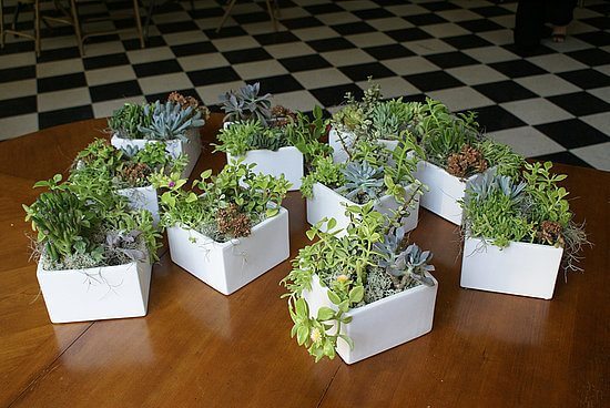 2a6161dc84e23531_centerpieces.preview 2a6161dc84e23531 centerpieces.preview Wednesday Weddings: Succulents