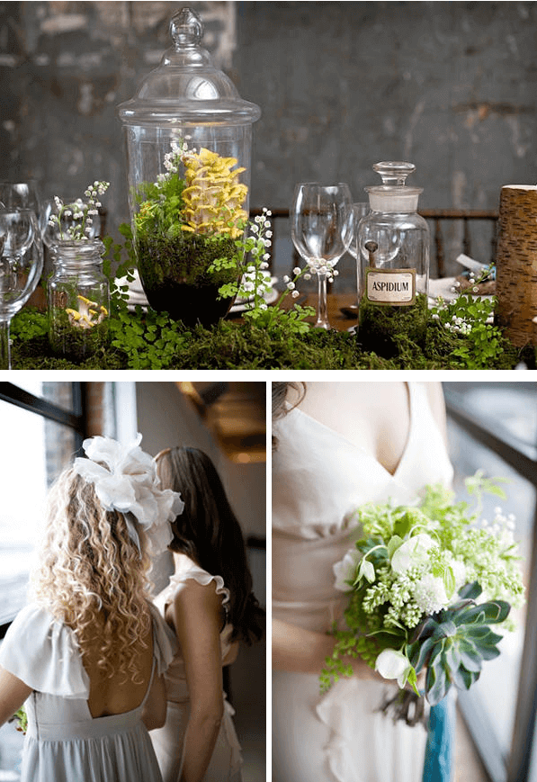 Screen Shot 2012-01-31 at 2.13.12 PM Screen Shot 2012 01 31 at 2.13.12 PM Wednesday Weddings: Succulents