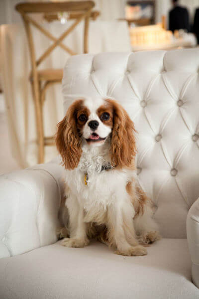Wedding Planner Houston on Houston Wedding Styleblueprint Atlanta
