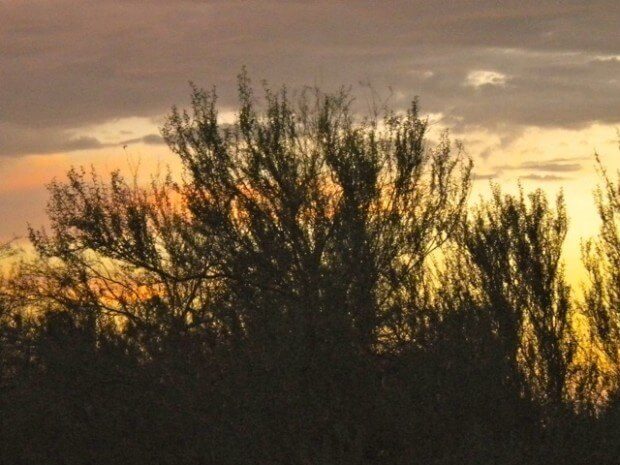 Arizona Getaway Sunset Trees Boulders 620x465 Arizona Getaway