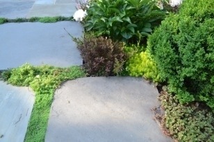 Image 3 Beautiful Gardens, Native Plantings