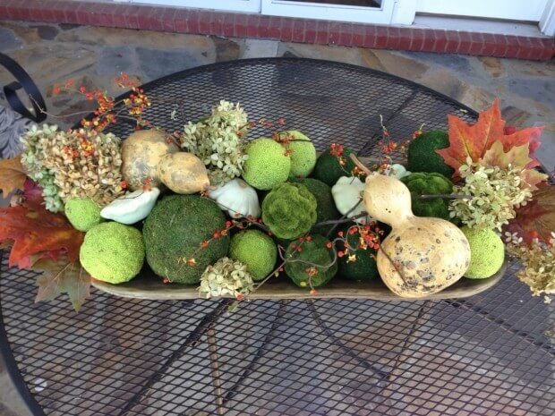 A Fall Centerpiece IMG 1337 620x465 A Fall Centerpiece