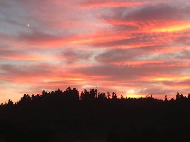Family Vacation: The Redwoods sunrise california1 620x465 Family Vacation: The Redwoods