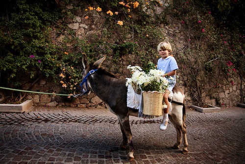 A Romantic Wedding in Mexico: Carrie and John Ward IMG 0641 2 A Romantic Wedding in Mexico: Carrie and John Ward